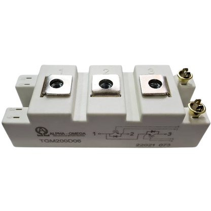 Módulo IGBT TGM200D06 600V 200A