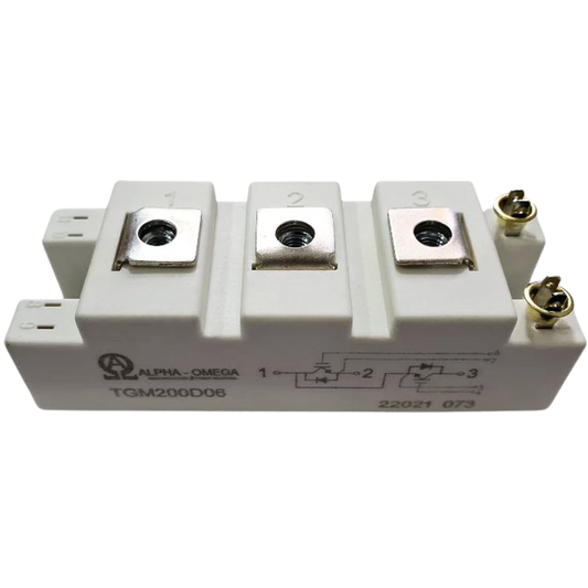 Módulo IGBT TGM200D06 600V 200A